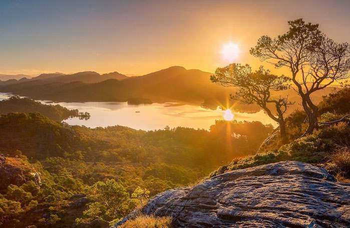 послуга по створенню сайтів для психолога